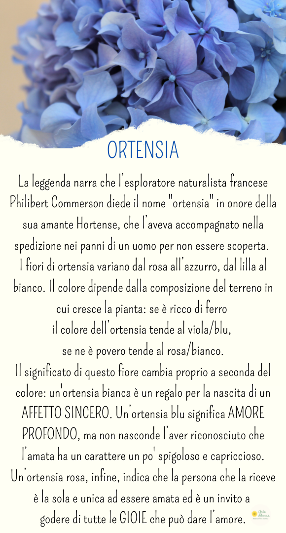 Collana a Sfera con Ortensia Azzurra