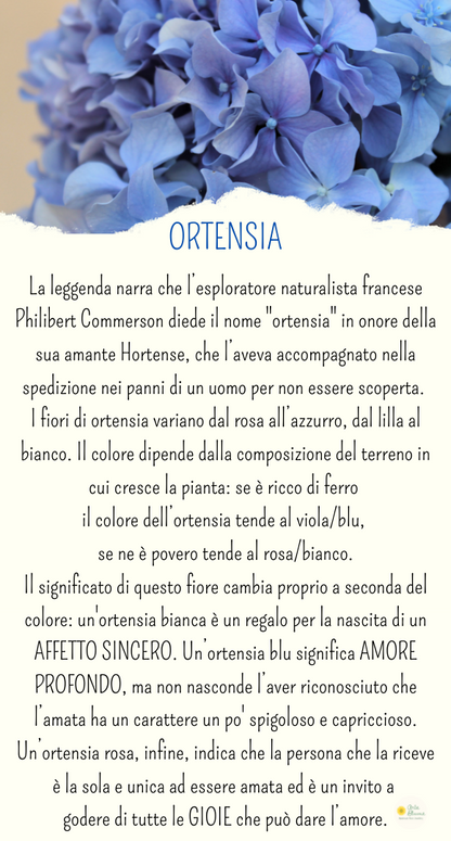 Collana a Sfera con Ortensia Azzurra