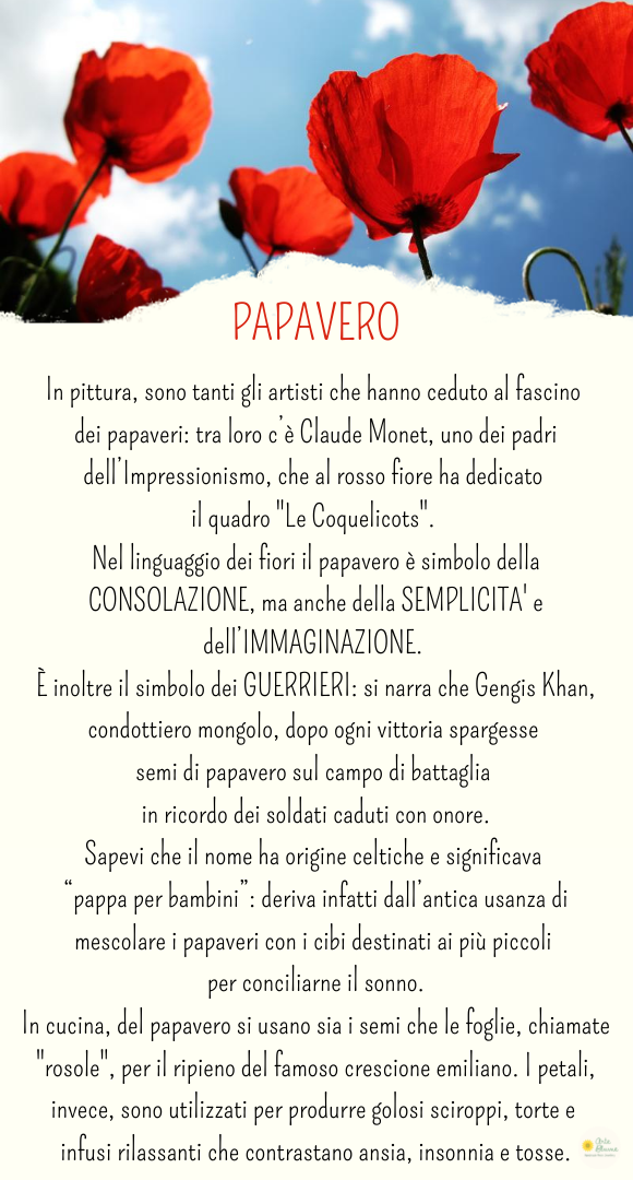 Charm Papavero