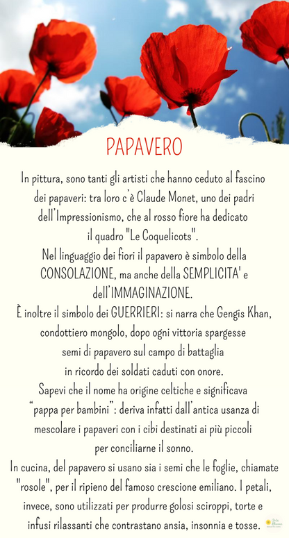 Charm Papavero