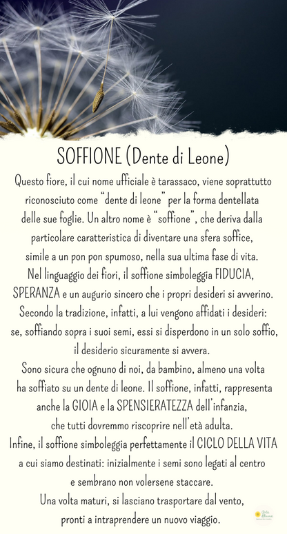 Charm Soffione