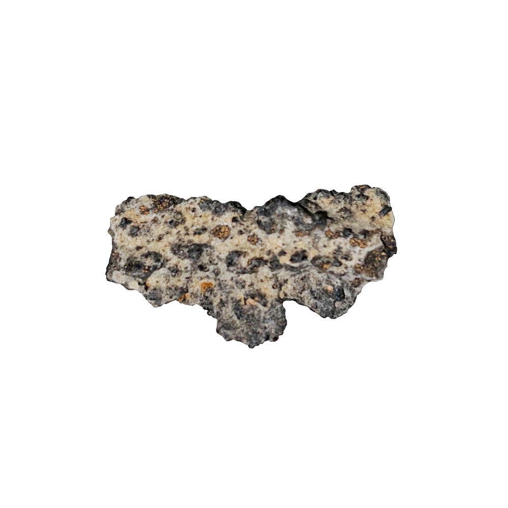 Fulgurite – Taglia L – Pietra grezza