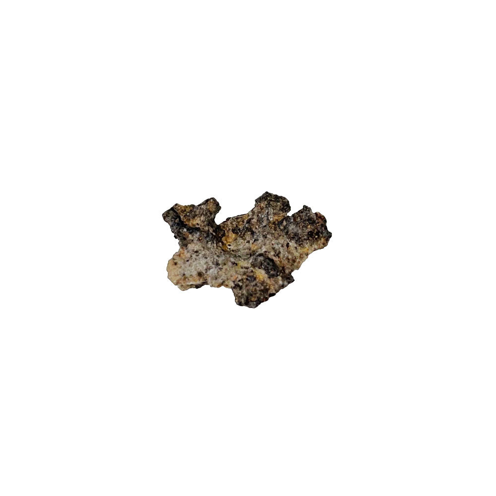 Fulgurite – Taglia S – Pietra grezza