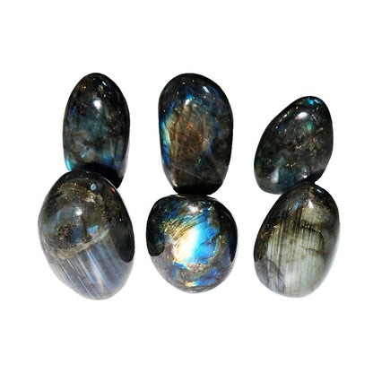 Labradorite lucida – Taglia XS