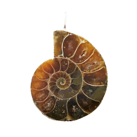 Ciondolo Ammonite – Pietra grezza